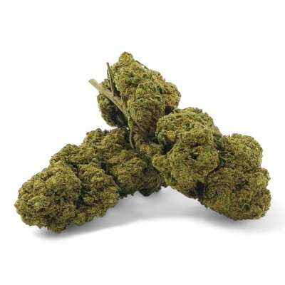 Fleur de CBD Harlequin...