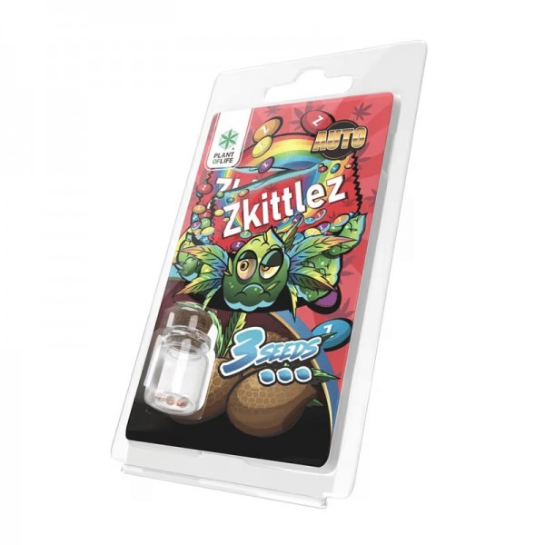 3 Graines Zkittlez AUTO | Plant of Life