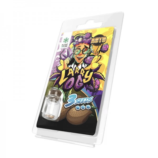 3 Graines Larry OG AUTO Plant of Life