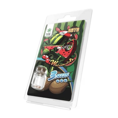 3 Graines Watermelon AUTO |...