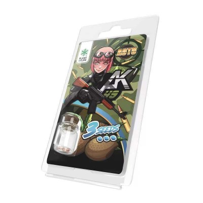 3 Graines AK49 AUTO | Plant...