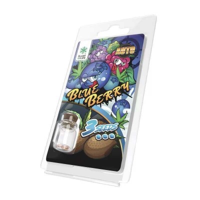 3 Graines Blueberry AUTO |...