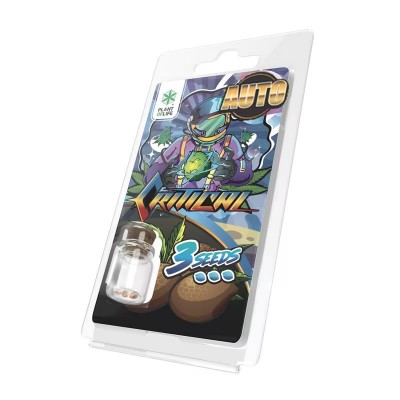 3 Graines Critical AUTO |...