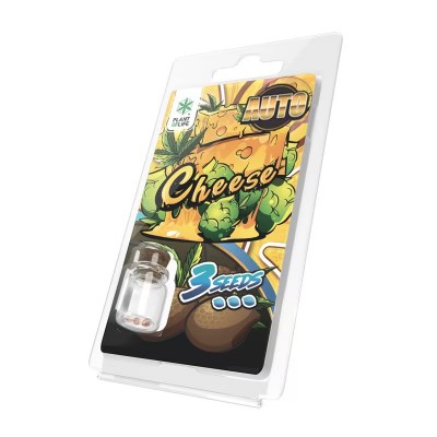 3 Graines Cheese AUTO |...