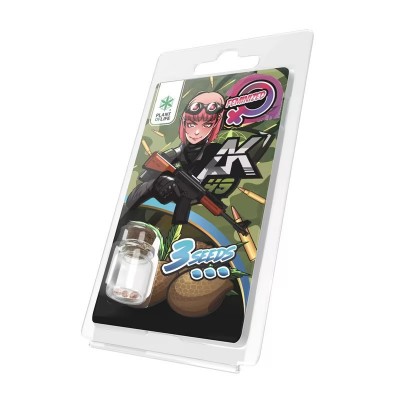 3 Graines AK49 FÉMINISÉE |...