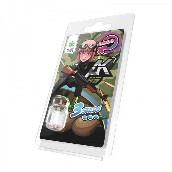 3 Graines AK49 FÉMINISÉE | Plant of Life