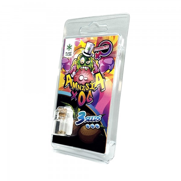 3 Graines Amnesia X OG FÉMINISÉE | Plant of Life