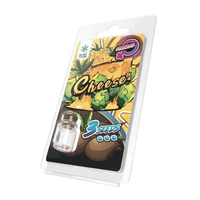 3 Graines Cheese FÉMINISÉE...