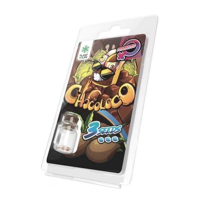 3 Graines Chocoloco...