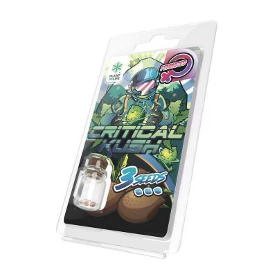 Graines Critical Kush...