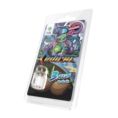 3 Graines Critical...