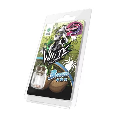 3 Graines White Widow...