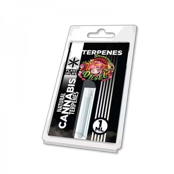 Terpène Strawberry Diesel | PLANT OF LIFE