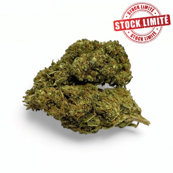 Déstockage Fleur de CBD Harlequin Indoor - Quantité Limitée