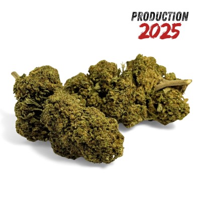 Fleur de CBD Black Mamba...