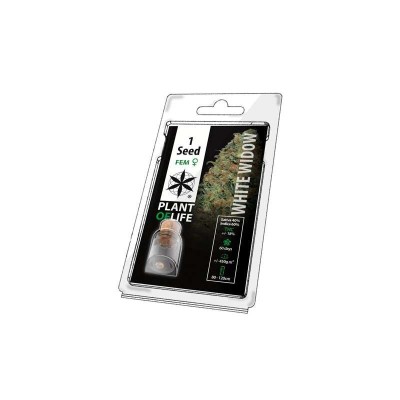 Graine de collection WHITE...