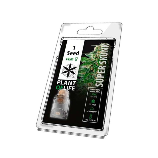 Graine de collection SUPER SKUNK FÉMINISÉE
