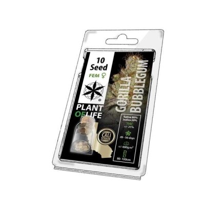 Graine de collection...