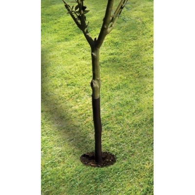 Protège-arbre en spirale 61cm