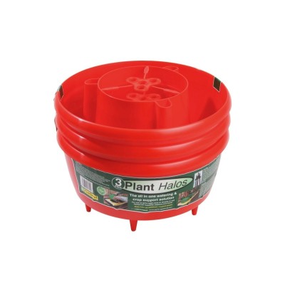 Halos de plantes (lot de 3)...