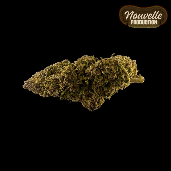 Fleur CBD Saphire Hybride Indoor