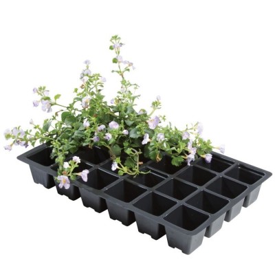 Inserts professionnels 24...