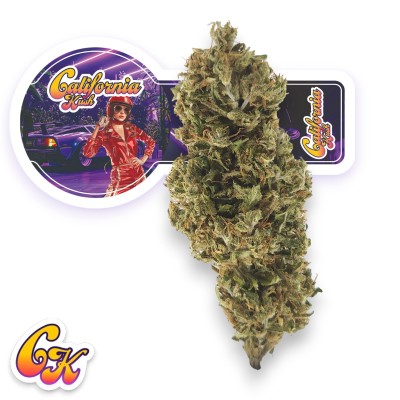 Fleur Euphoria MCPN 10% -...