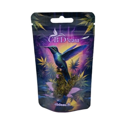 Lot de 100 pochettes...