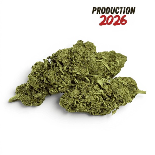 Fleur de CBD Super Skunk Indoor