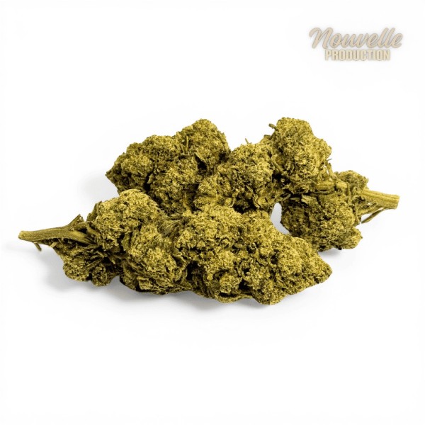 Fleur Tropical Haze 2.0 CBDX (CBD Xtrem) NL-1 12,5% Indoor