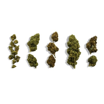 Coffret découverte débutant...