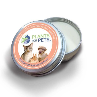 Baume CBD réparateur...