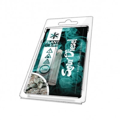 Terpène Sour Diesel | PLANT...