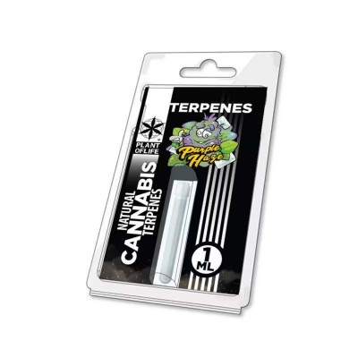 Terpène Purple Haze | PLANT...